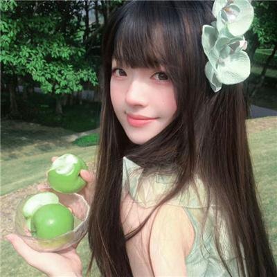 鲨人树儿